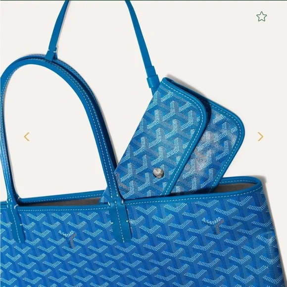 GOYARD Saint Louis PM bag , pre-owned - Picture 2 of 6